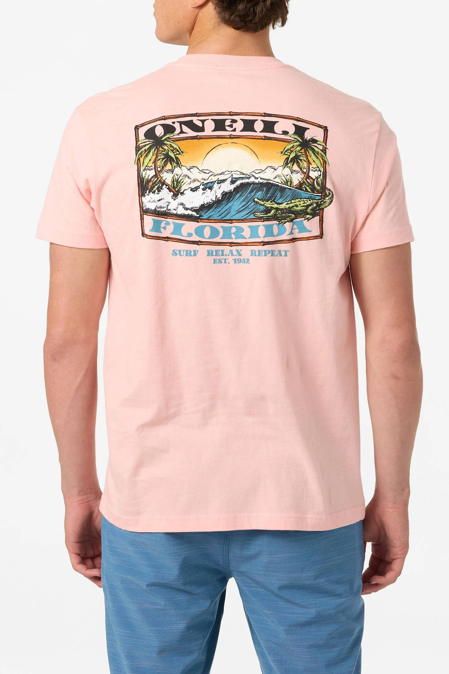 Coastal Standard Fit Tee sold by O'Neill product image thumbnail 5