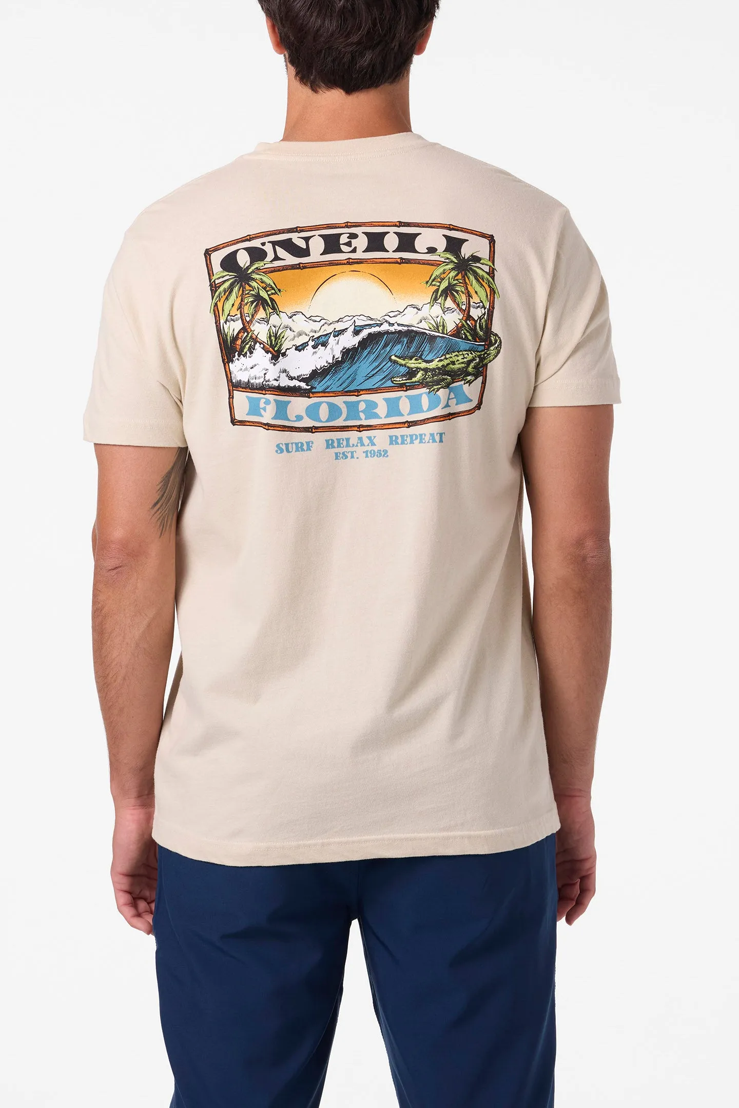 Coastal Standard Fit Tee sold by O'Neill product image thumbnail 5