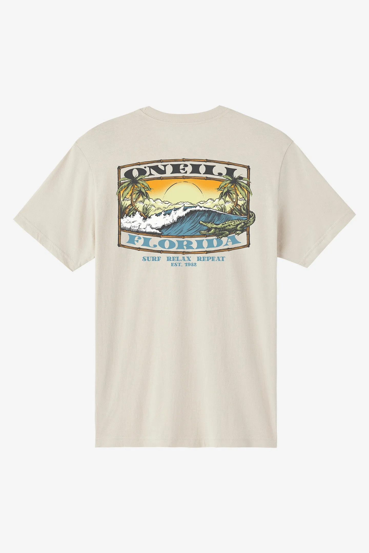 Coastal Standard Fit Tee sold by O'Neill