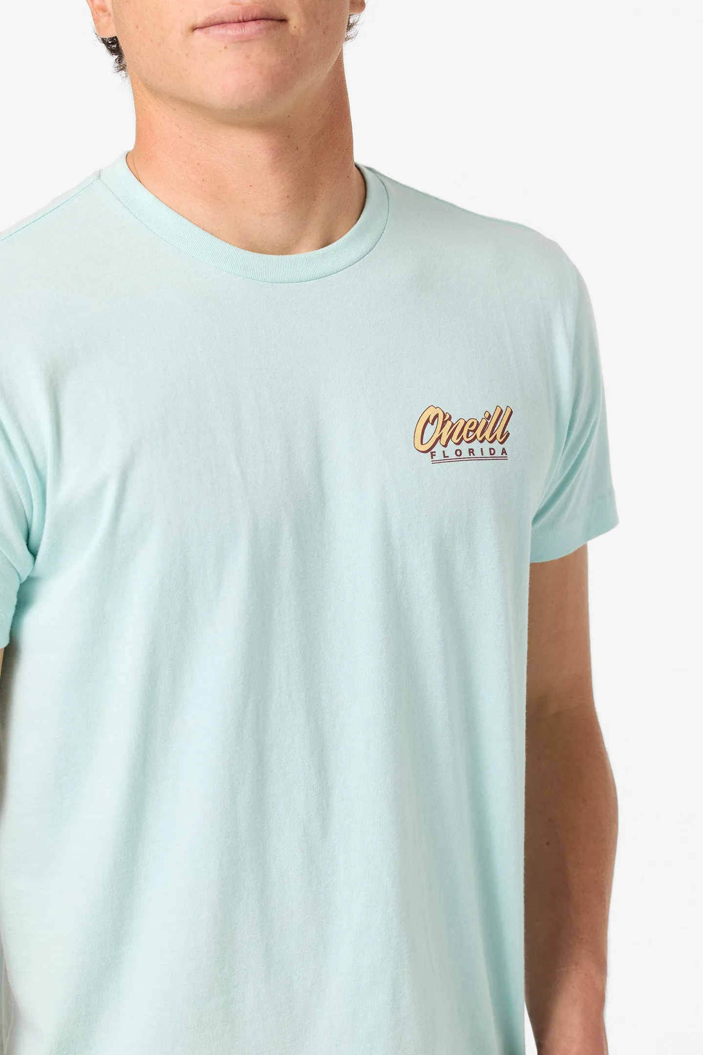 Daybreak Standard Fit Tee sold by O'Neill product image thumbnail 4
