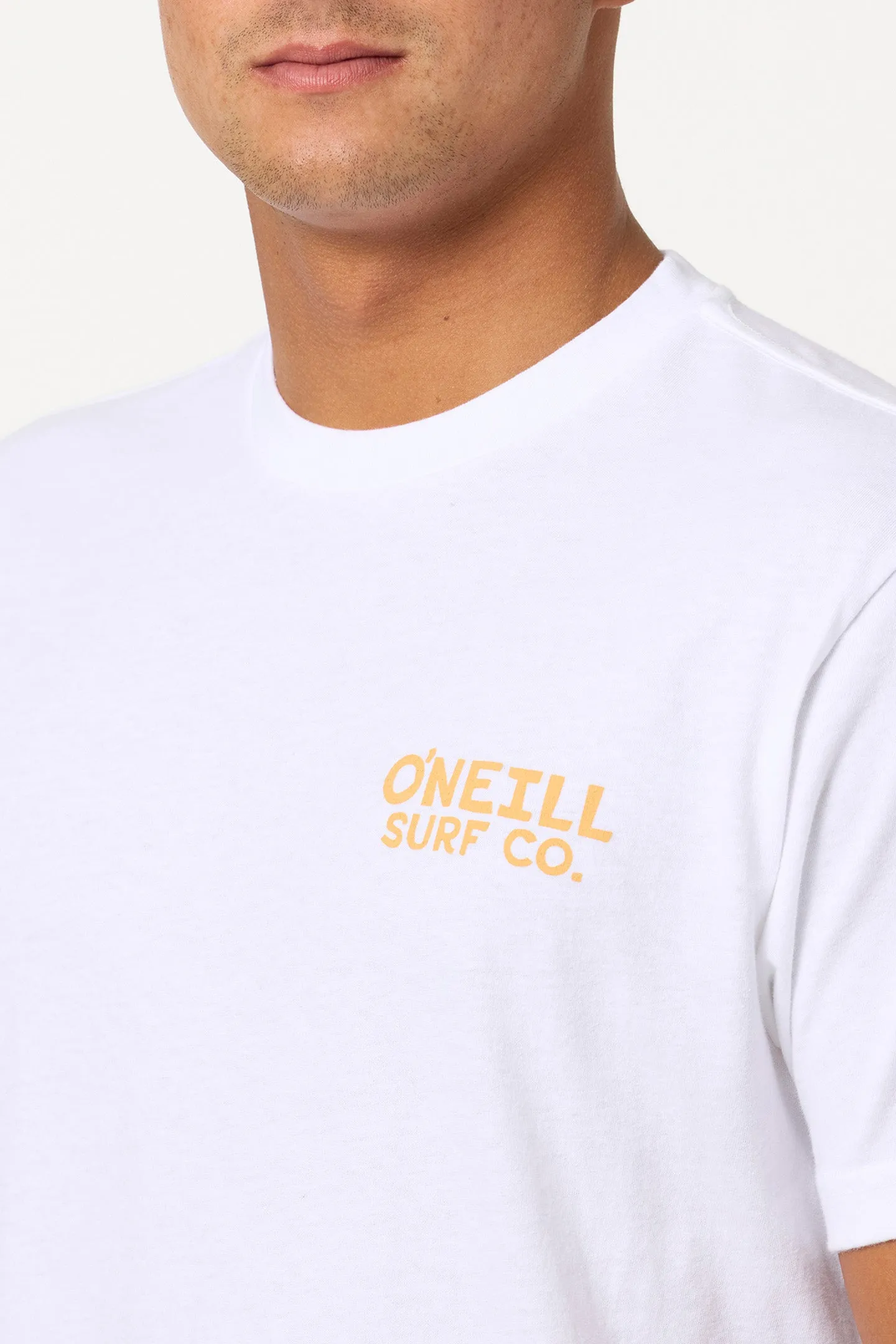 Steven Seagull Standard Fit Tee sold by O'Neill product image thumbnail 4
