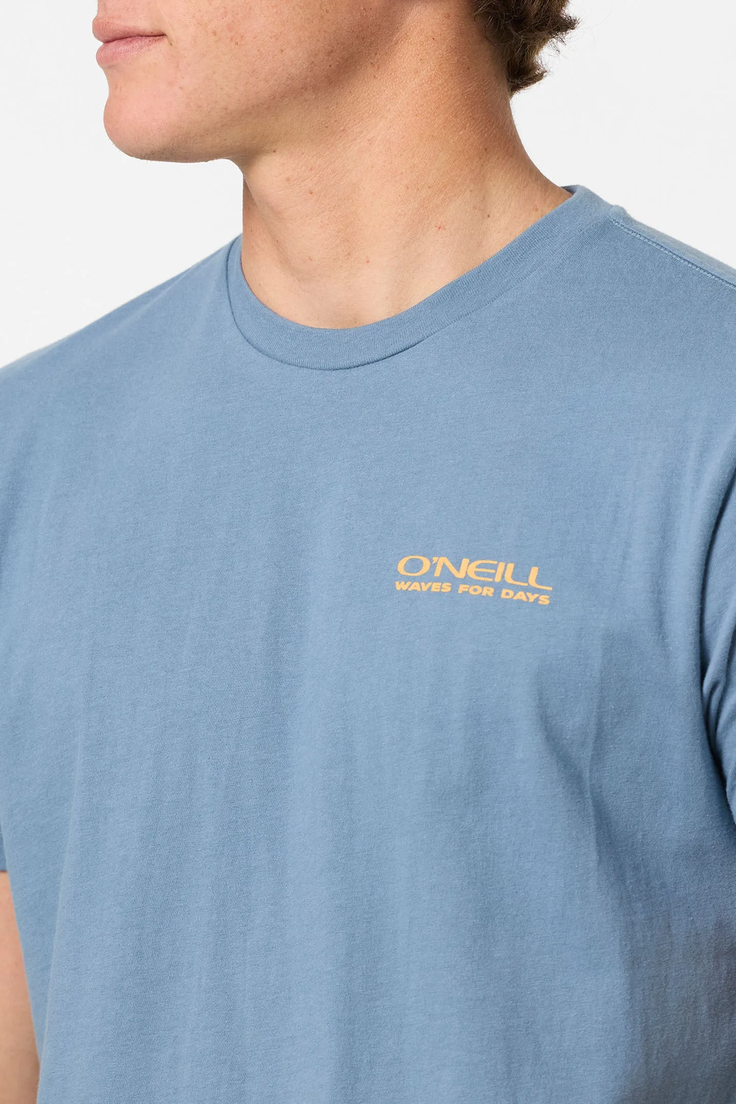 The Captain Standard Fit Tee sold by O'Neill product image thumbnail 4