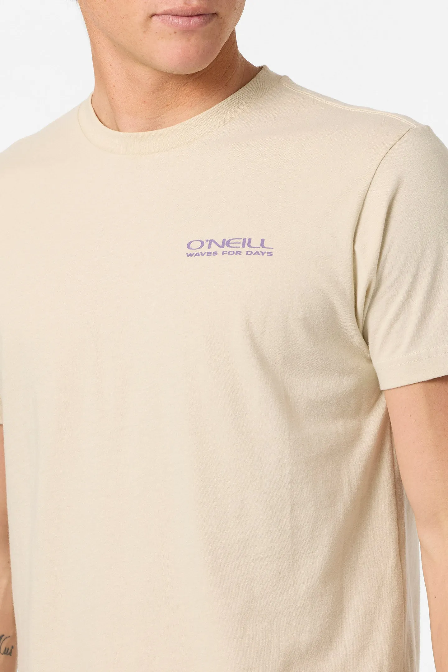 The Captain Standard Fit Tee sold by O'Neill product image thumbnail 4