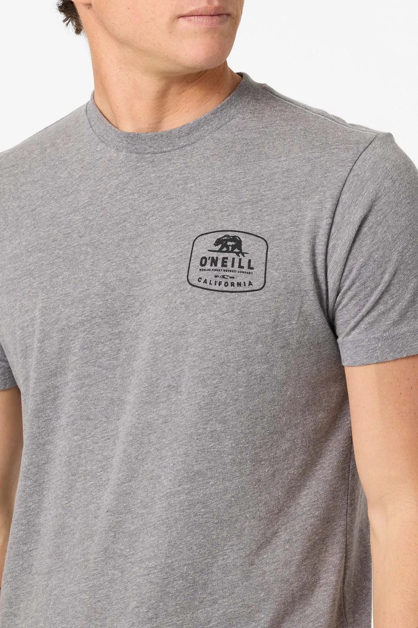 Cali Native Standard Fit Tee sold by O'Neill product image thumbnail 4