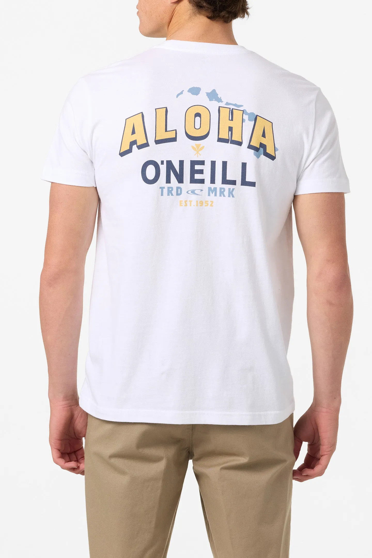Hawaii Aloha Standard Fit Tee sold by O'Neill product image thumbnail 5