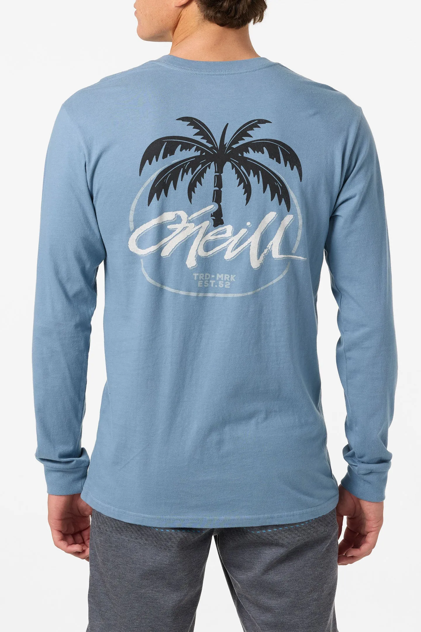 Home Grown Standard Fit Long Sleeve Tee sold by O'Neill product image thumbnail 5