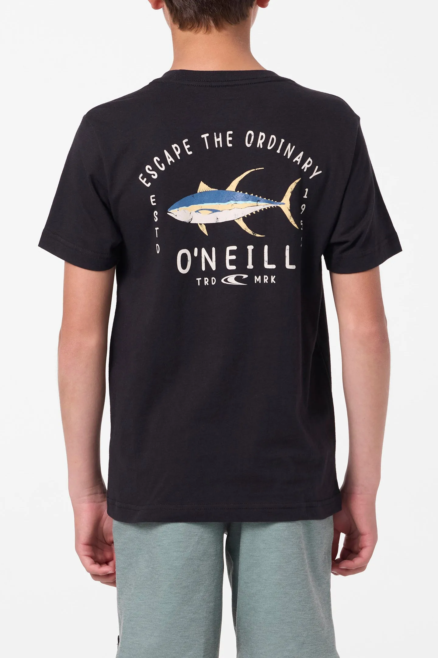 Boy's Grindz Tee sold by O'Neill product image thumbnail 5