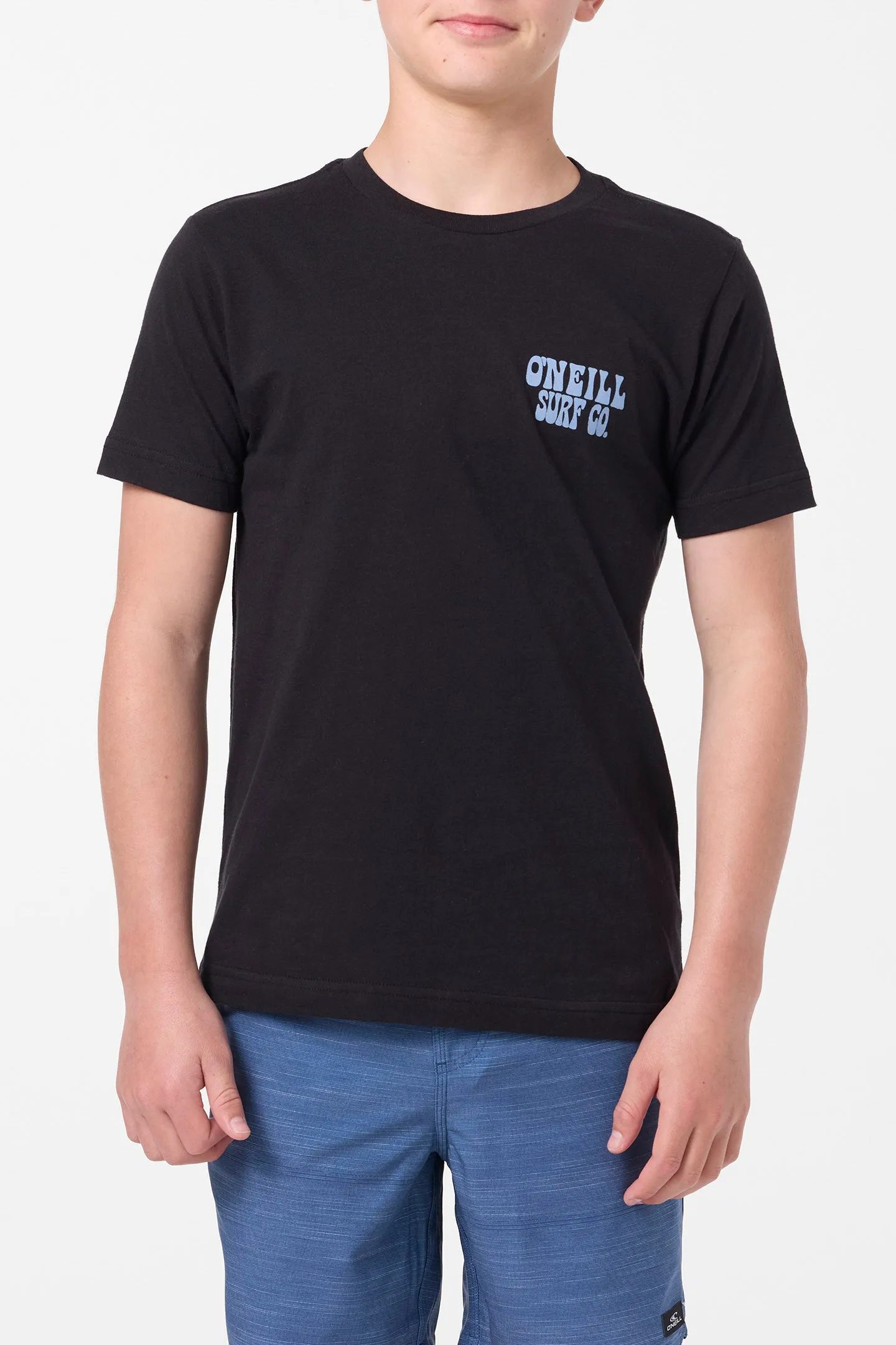 Boy's Pelly Tee sold by O'Neill product image thumbnail 2