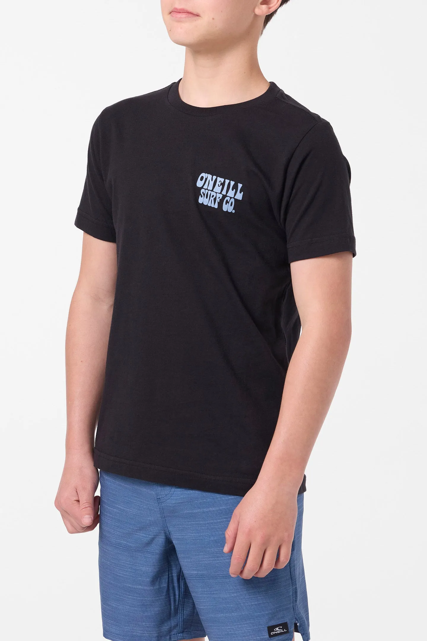 Boy's Pelly Tee sold by O'Neill product image thumbnail 3