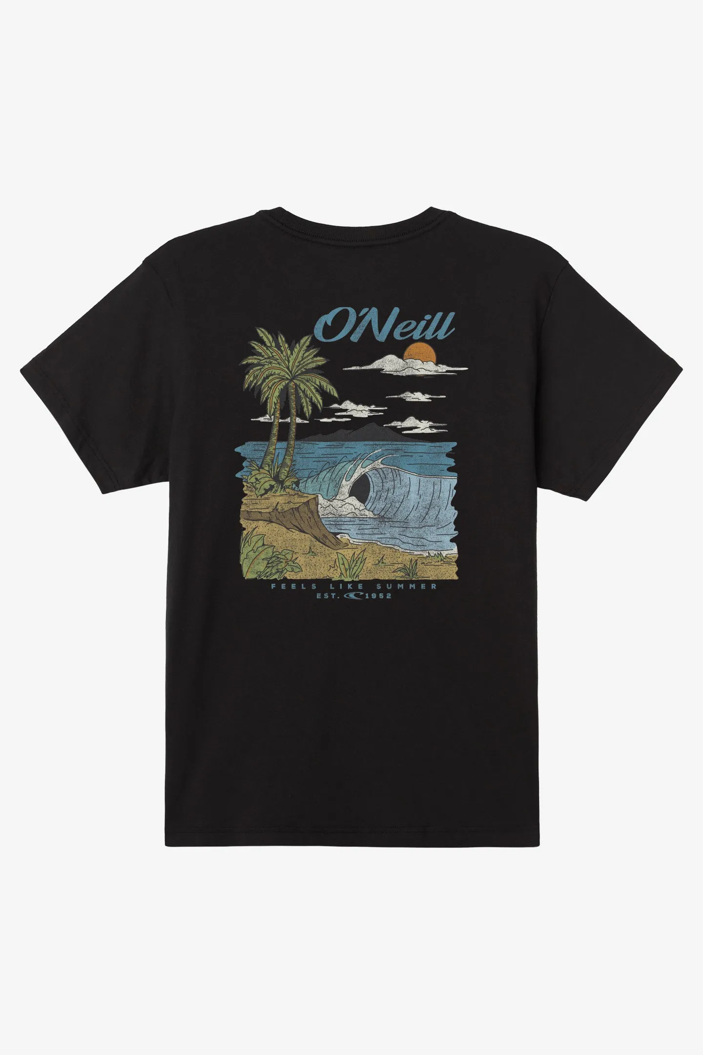 Boy's Shorebreak Tee sold by O'Neill