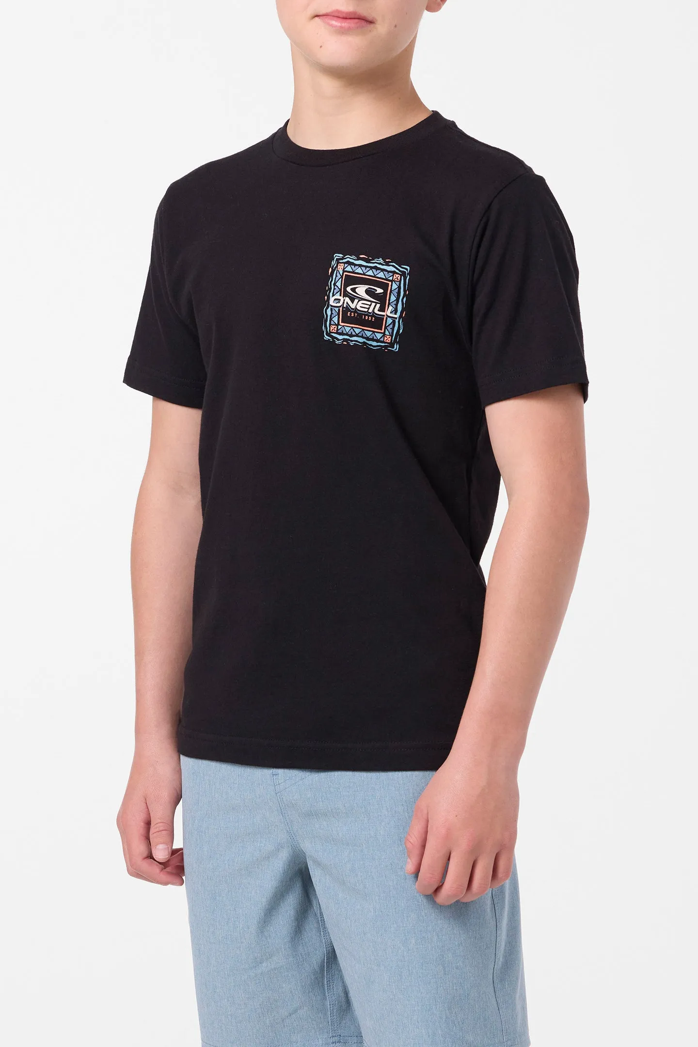 Boy's Patterns Tee sold by O'Neill product image thumbnail 3