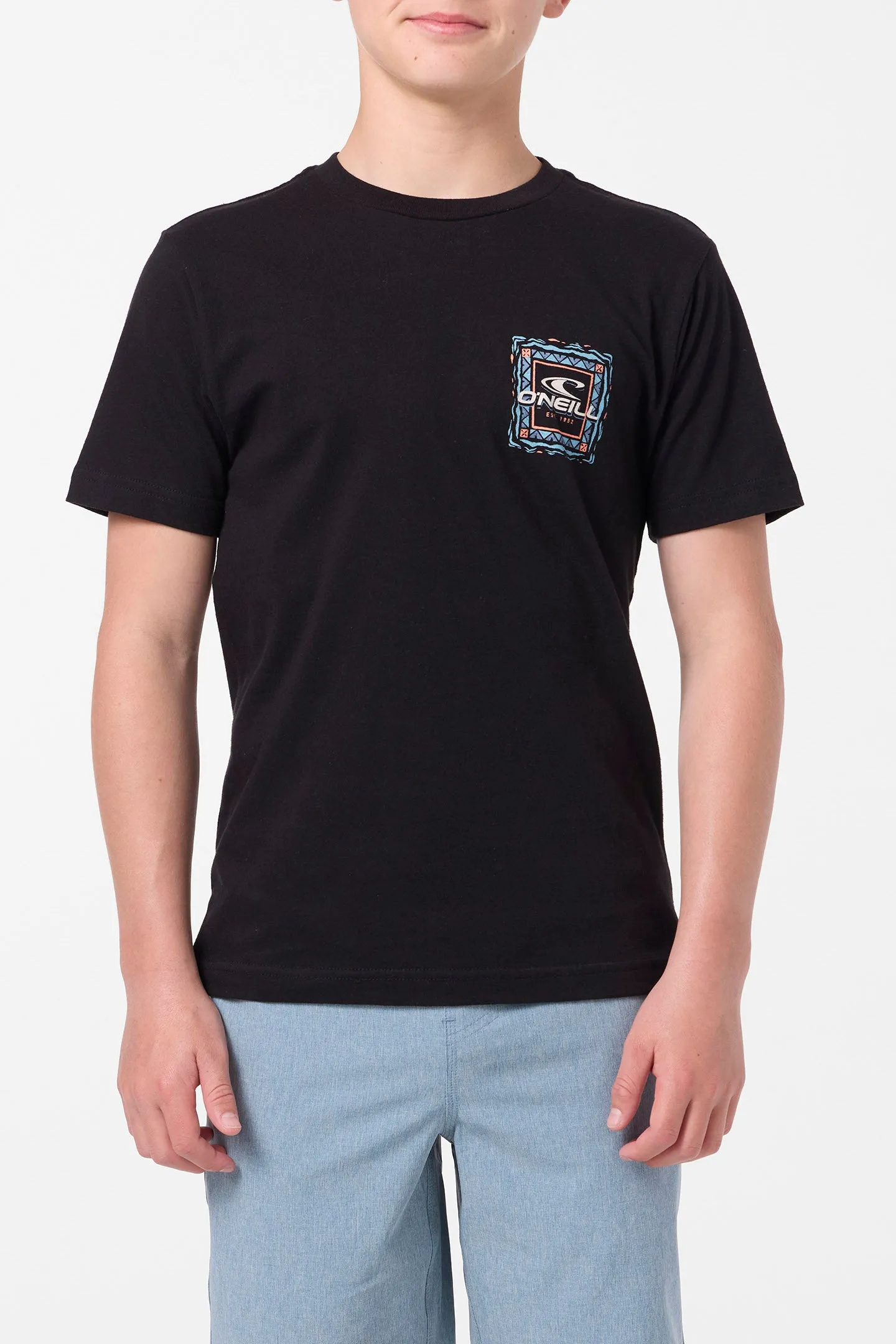 Boy's Patterns Tee sold by O'Neill product image thumbnail 2