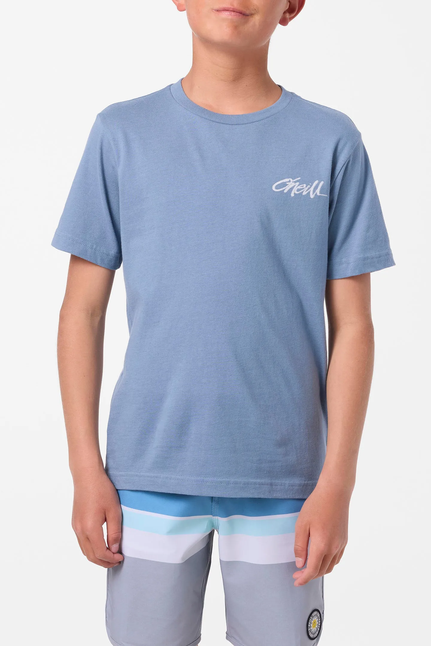 Boy's Home Grown Tee sold by O'Neill product image thumbnail 2