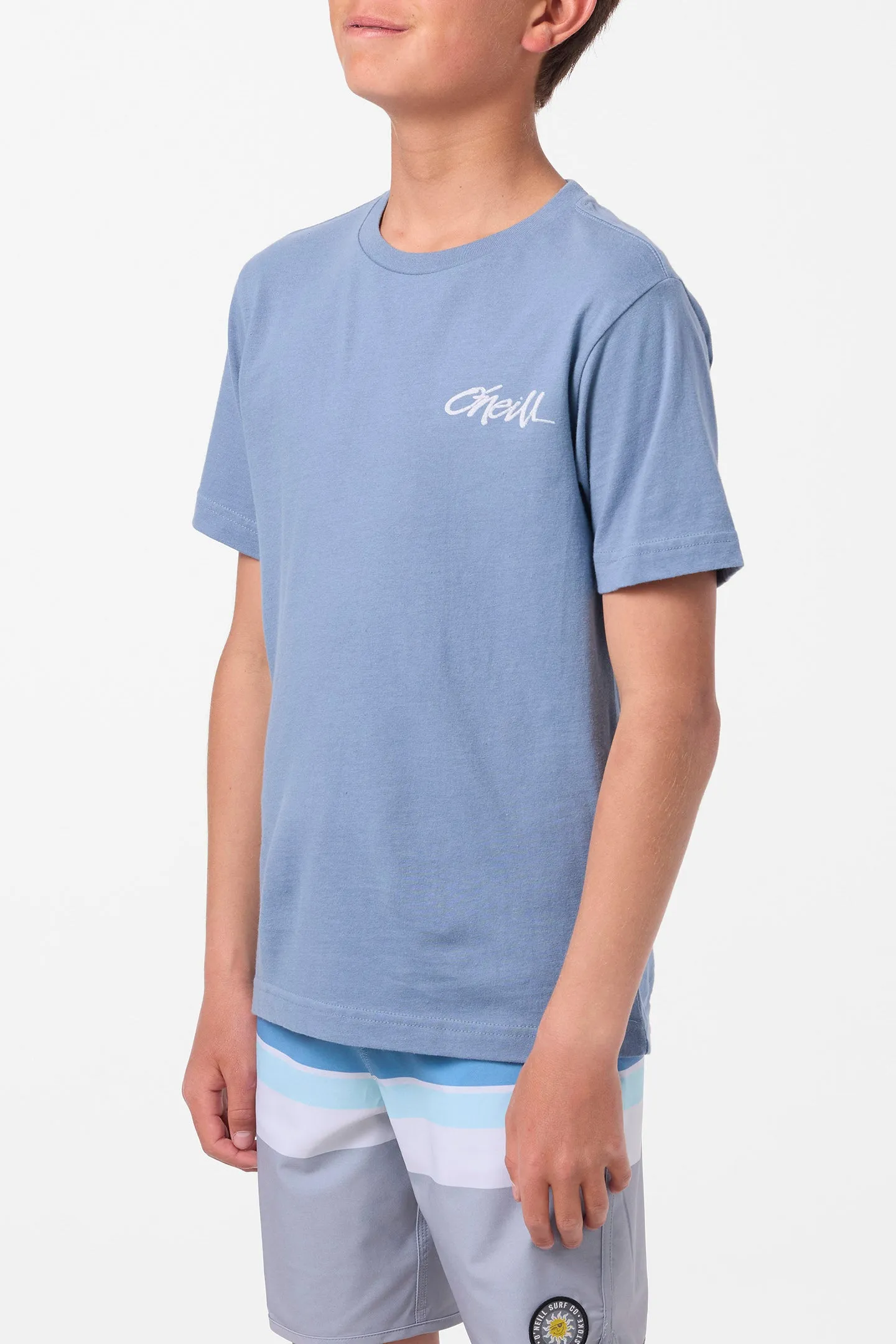 Boy's Home Grown Tee sold by O'Neill product image thumbnail 3