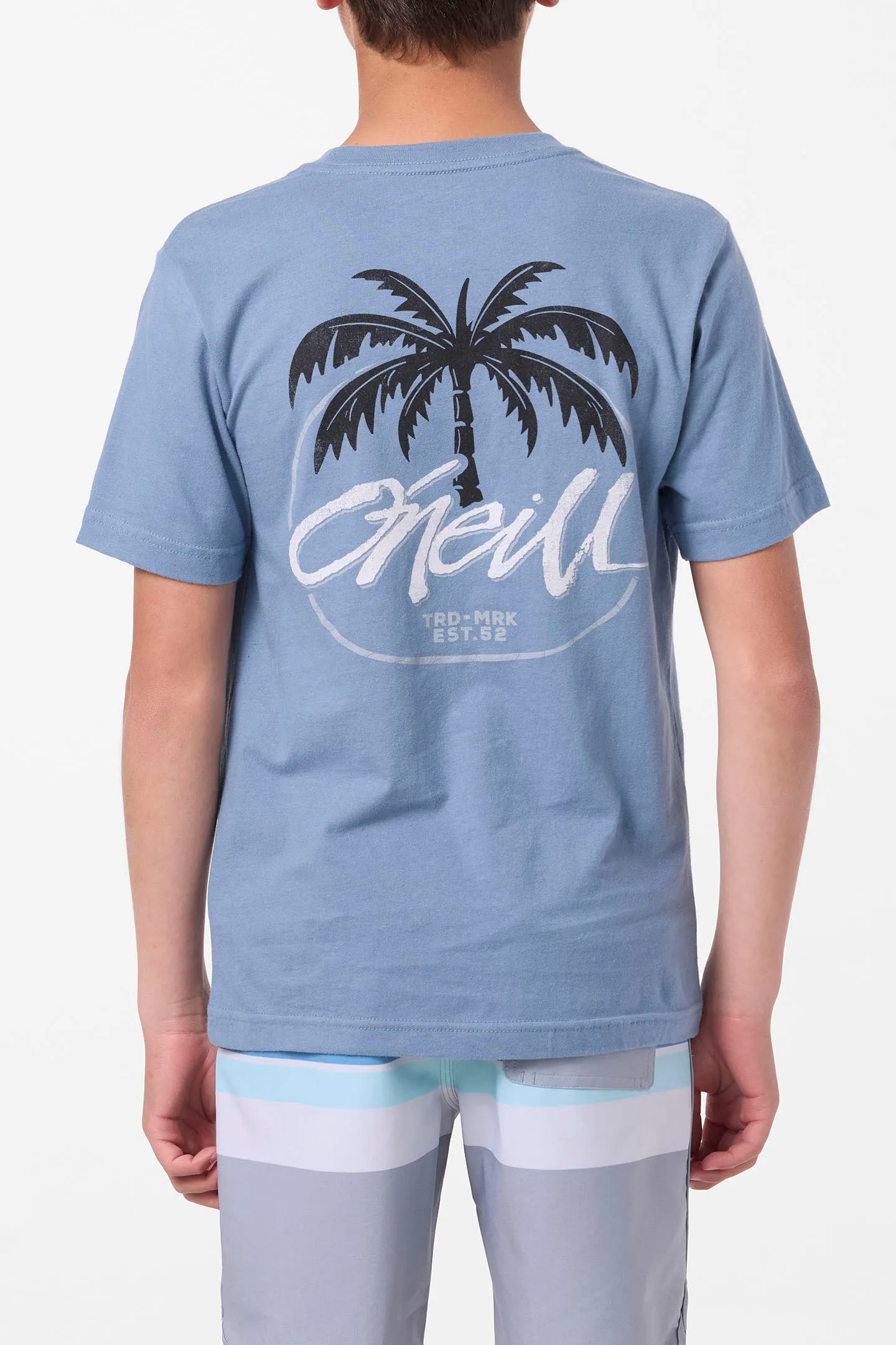 Boy's Home Grown Tee sold by O'Neill product image thumbnail 4