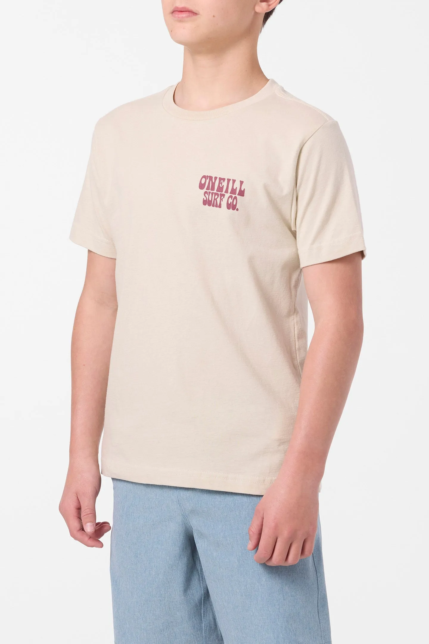 Boy's Pelly Tee sold by O'Neill product image thumbnail 3