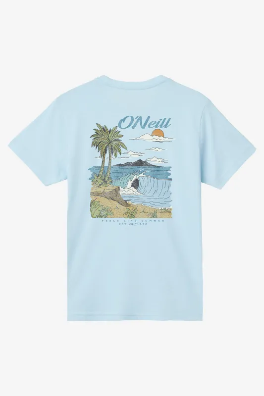Boy's Shorebreak Tee sold by O'Neill