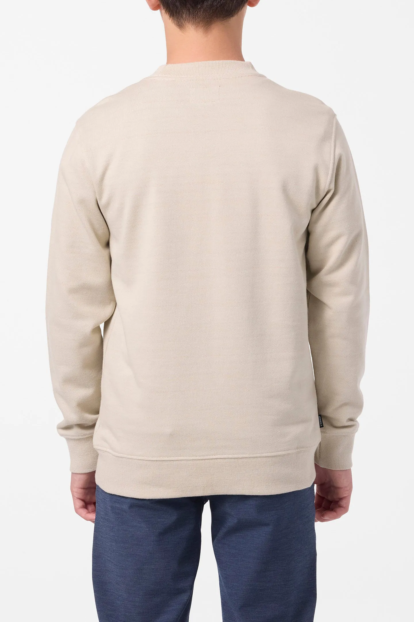 Boy's Bavaro Blocked Crew Shirt Fleece sold by O'Neill product image thumbnail 4