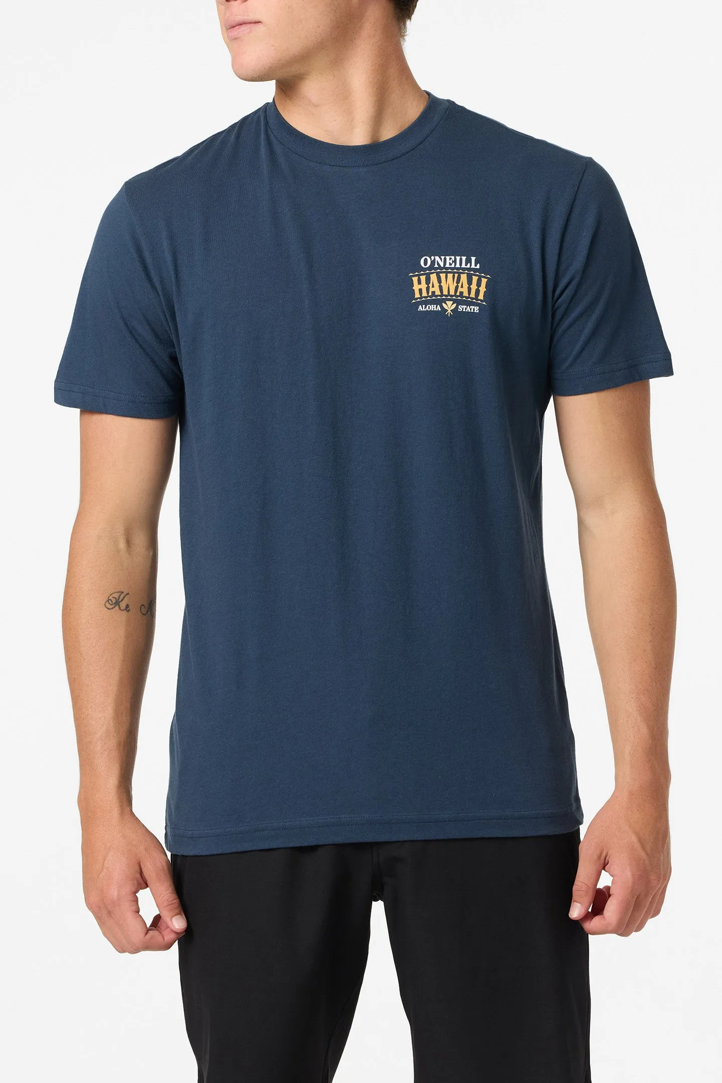 Hawaii Arch Standard Fit Tee sold by O'Neill product image thumbnail 2