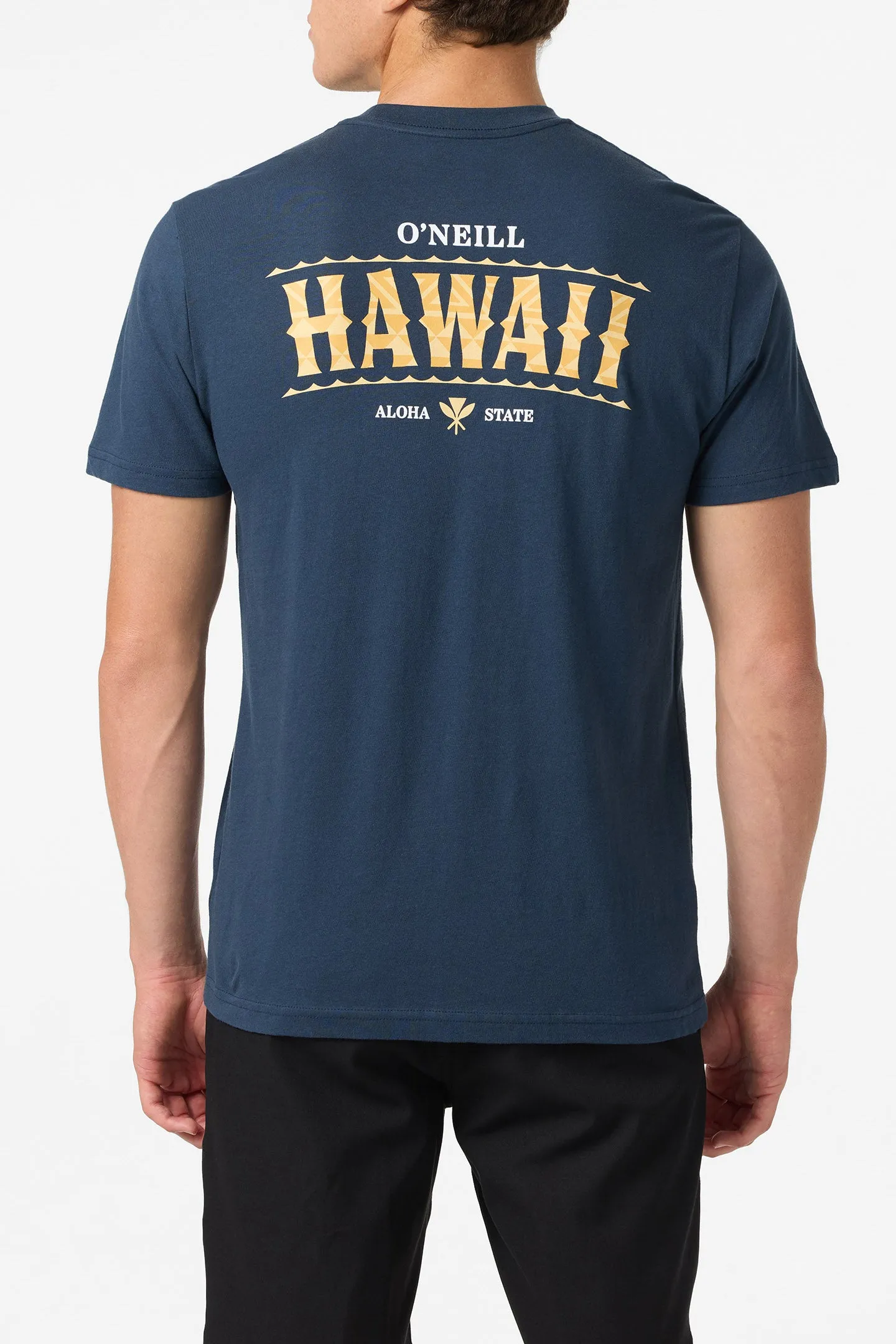 Hawaii Arch Standard Fit Tee sold by O'Neill product image thumbnail 3