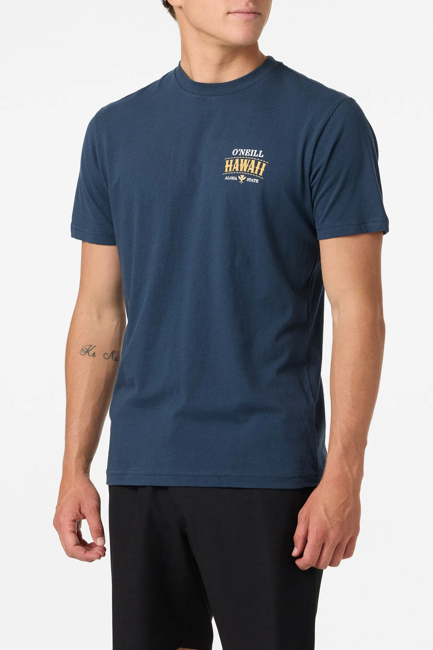 Hawaii Arch Standard Fit Tee sold by O'Neill product image thumbnail 4