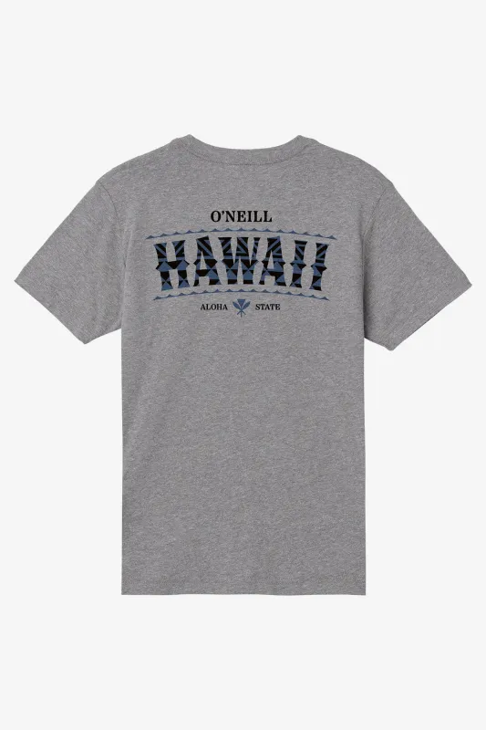 Boy's Hawaii Arch Tee sold by O'Neill