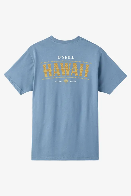 Boy's Hawaii Arch Tee sold by O'Neill