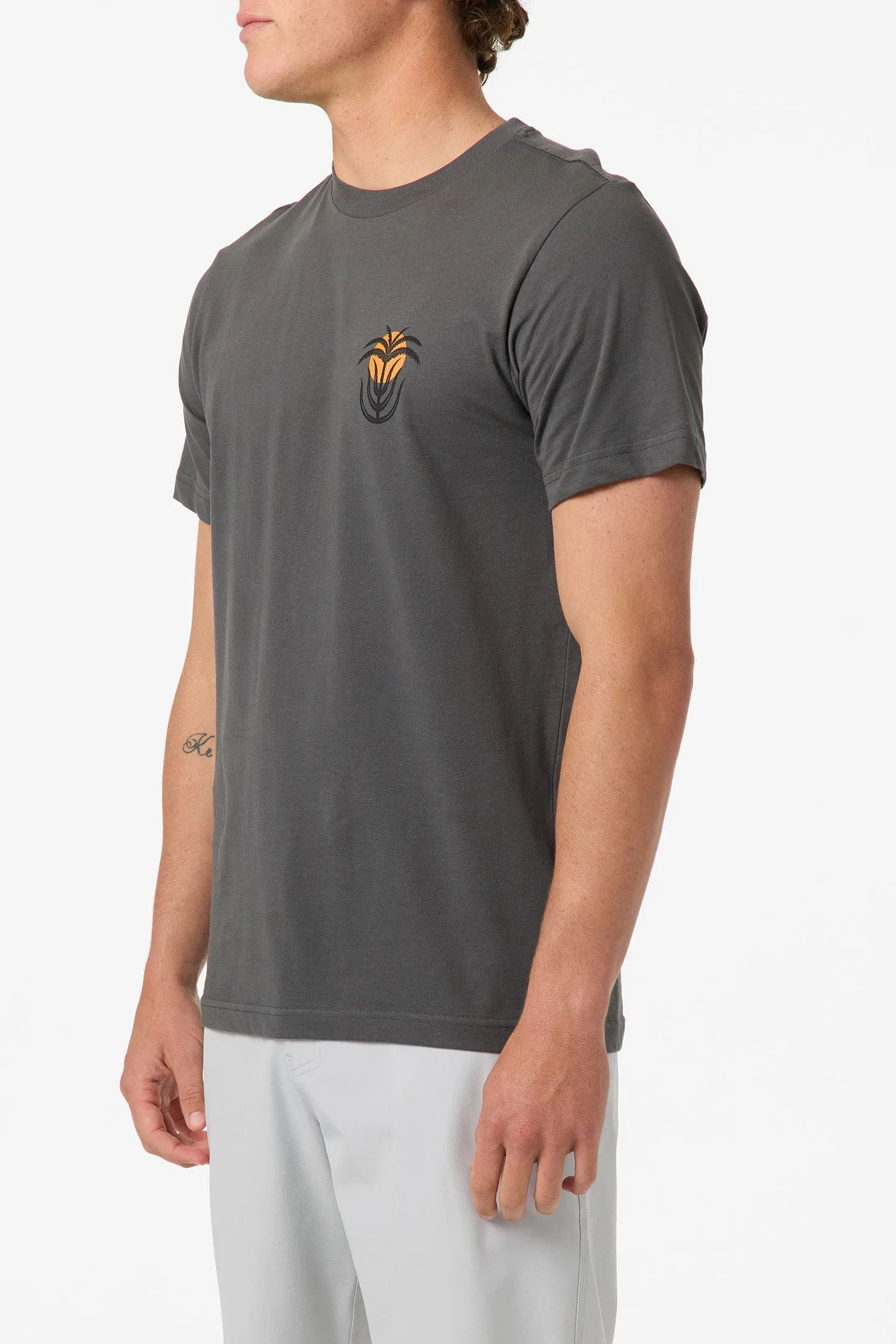 Palm Throne Classic Tee sold by O'Neill product image thumbnail 3