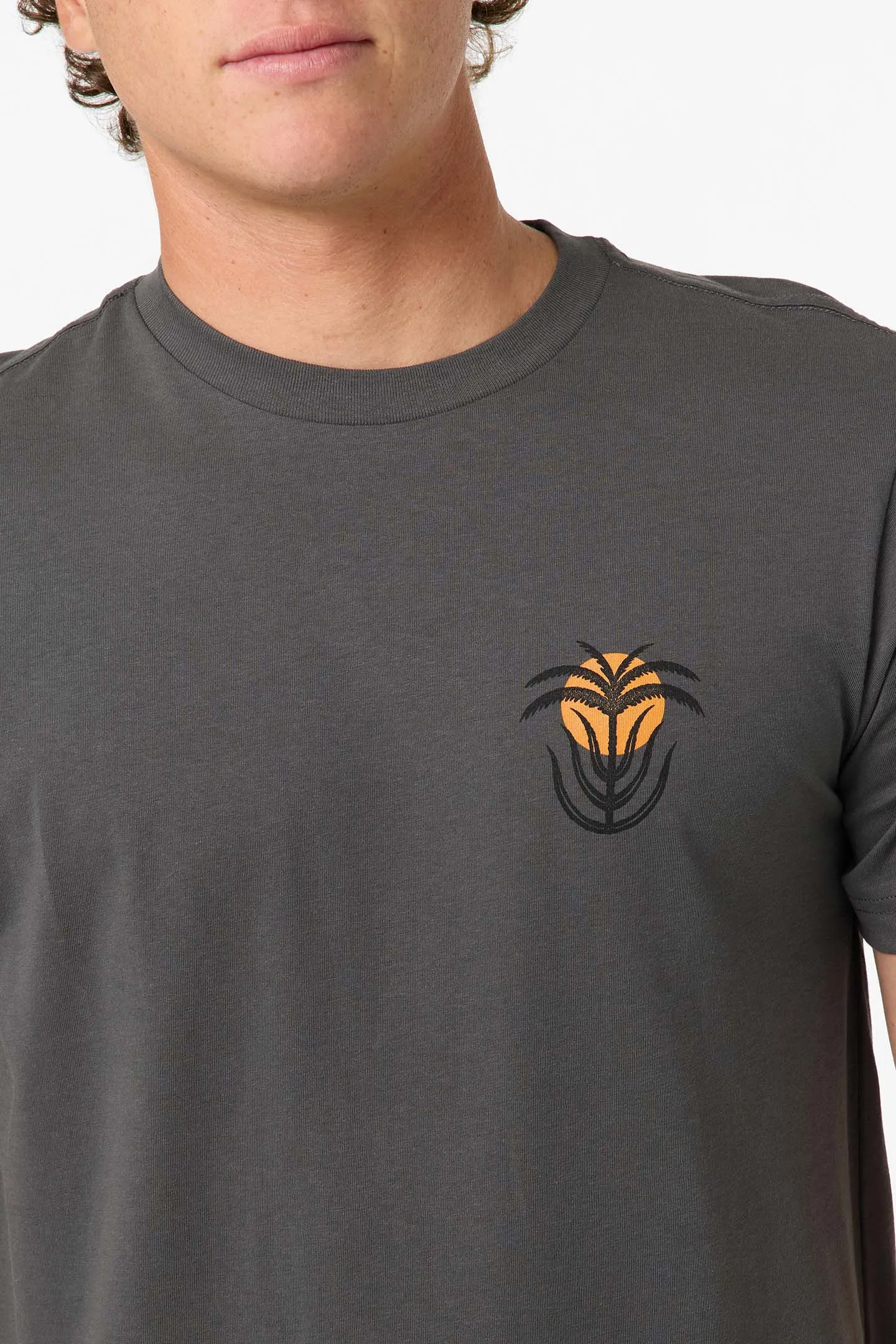 Palm Throne Classic Tee sold by O'Neill product image thumbnail 4