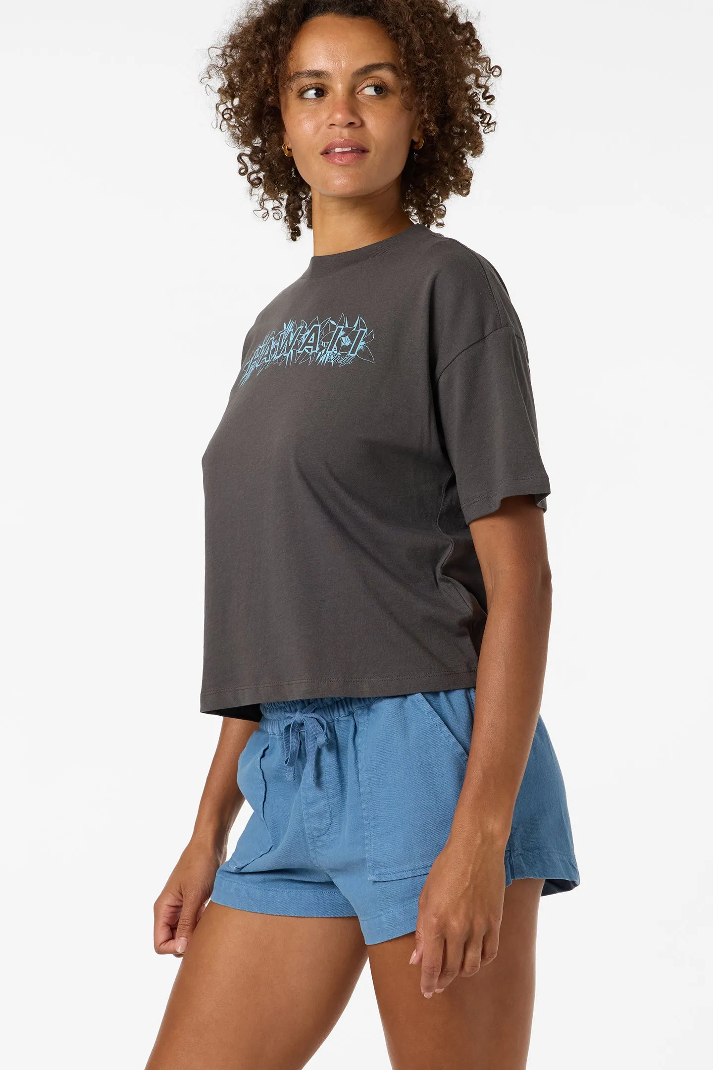Lux Hawaii Easy Tee sold by O'Neill product image thumbnail 5