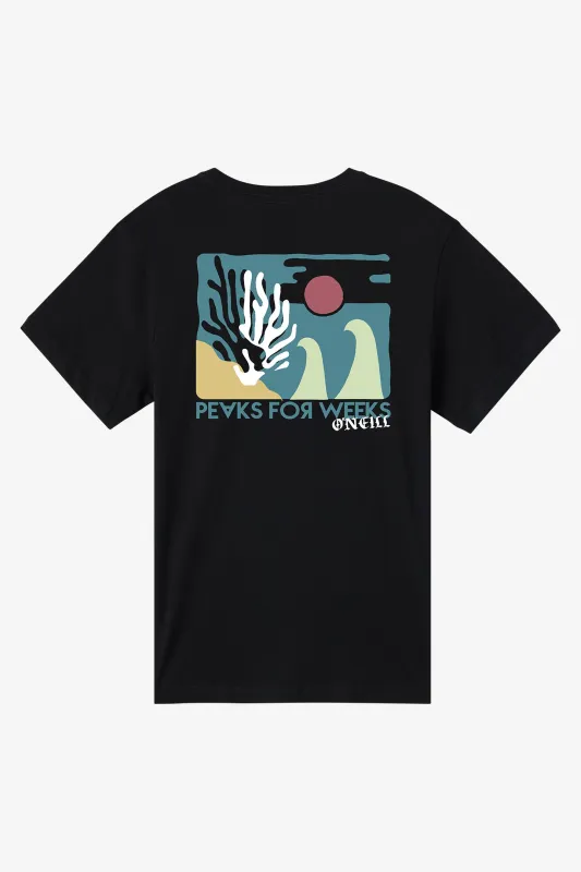 Coral Classic Tee made by O'Neill