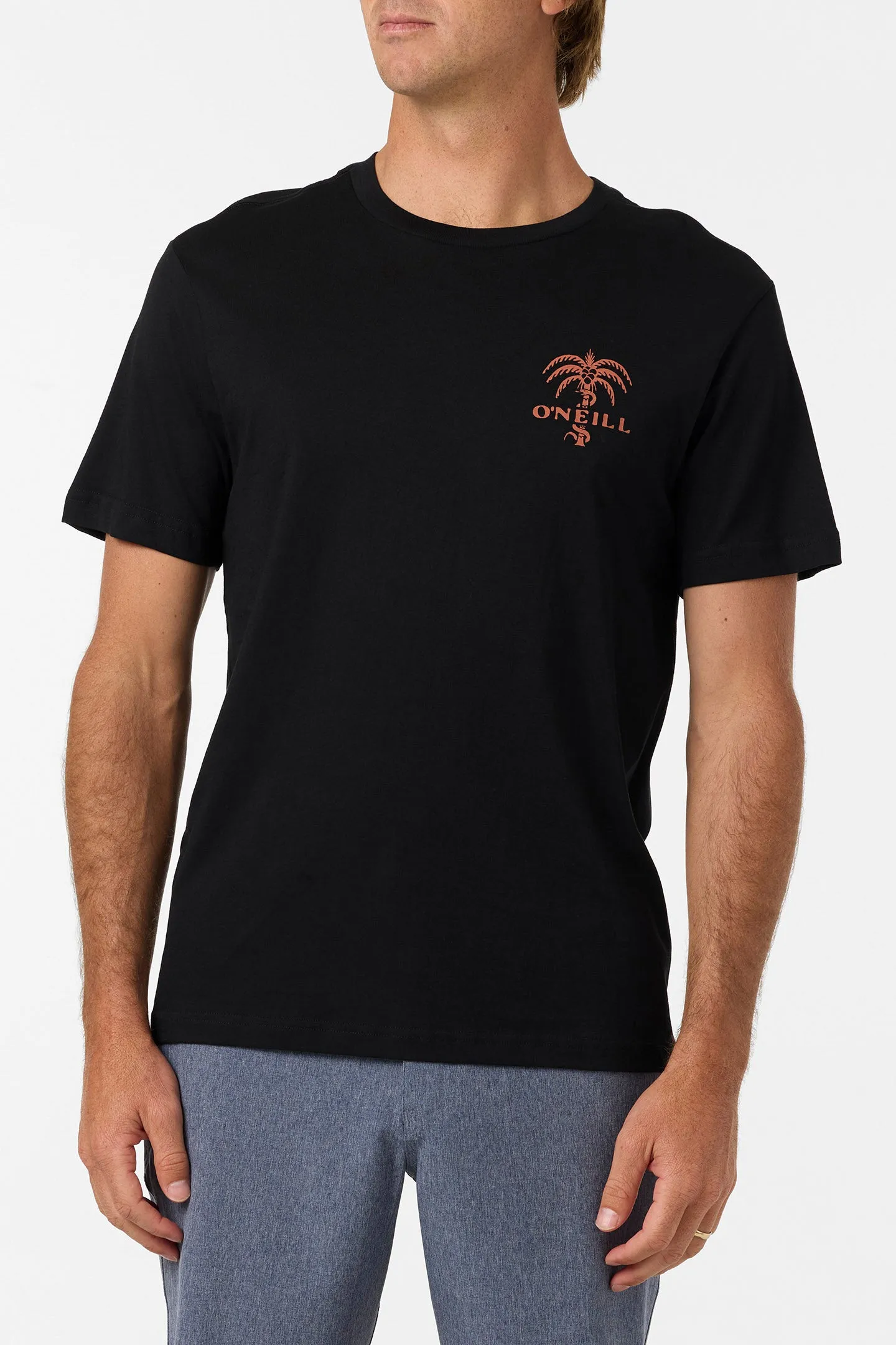 Surf Supply Classic Tee sold by O'Neill product image thumbnail 2
