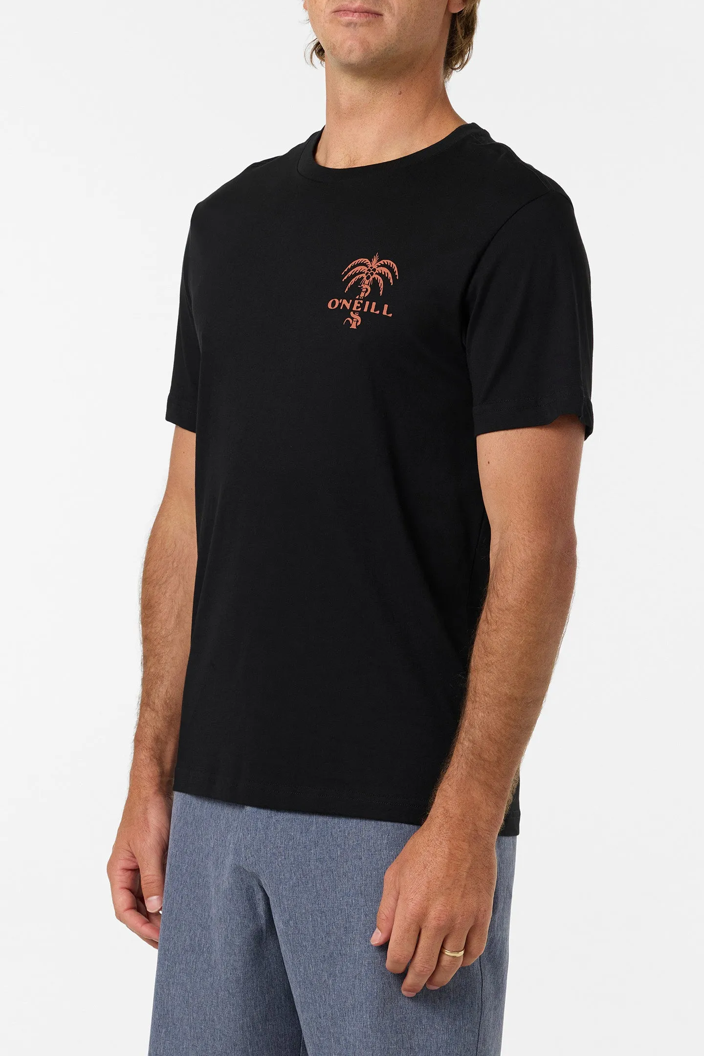 Surf Supply Classic Tee sold by O'Neill product image thumbnail 3