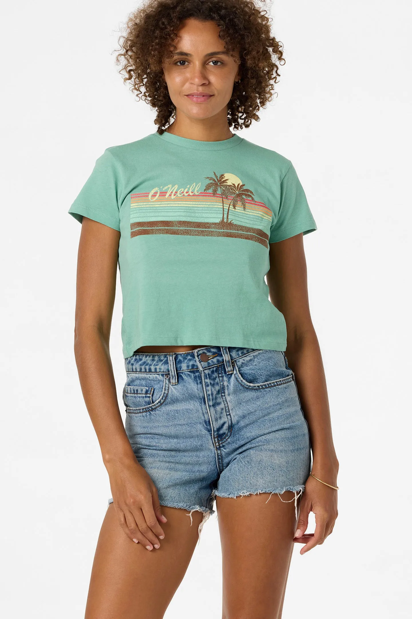 Retro Stripe Fitted Tee sold by O'Neill