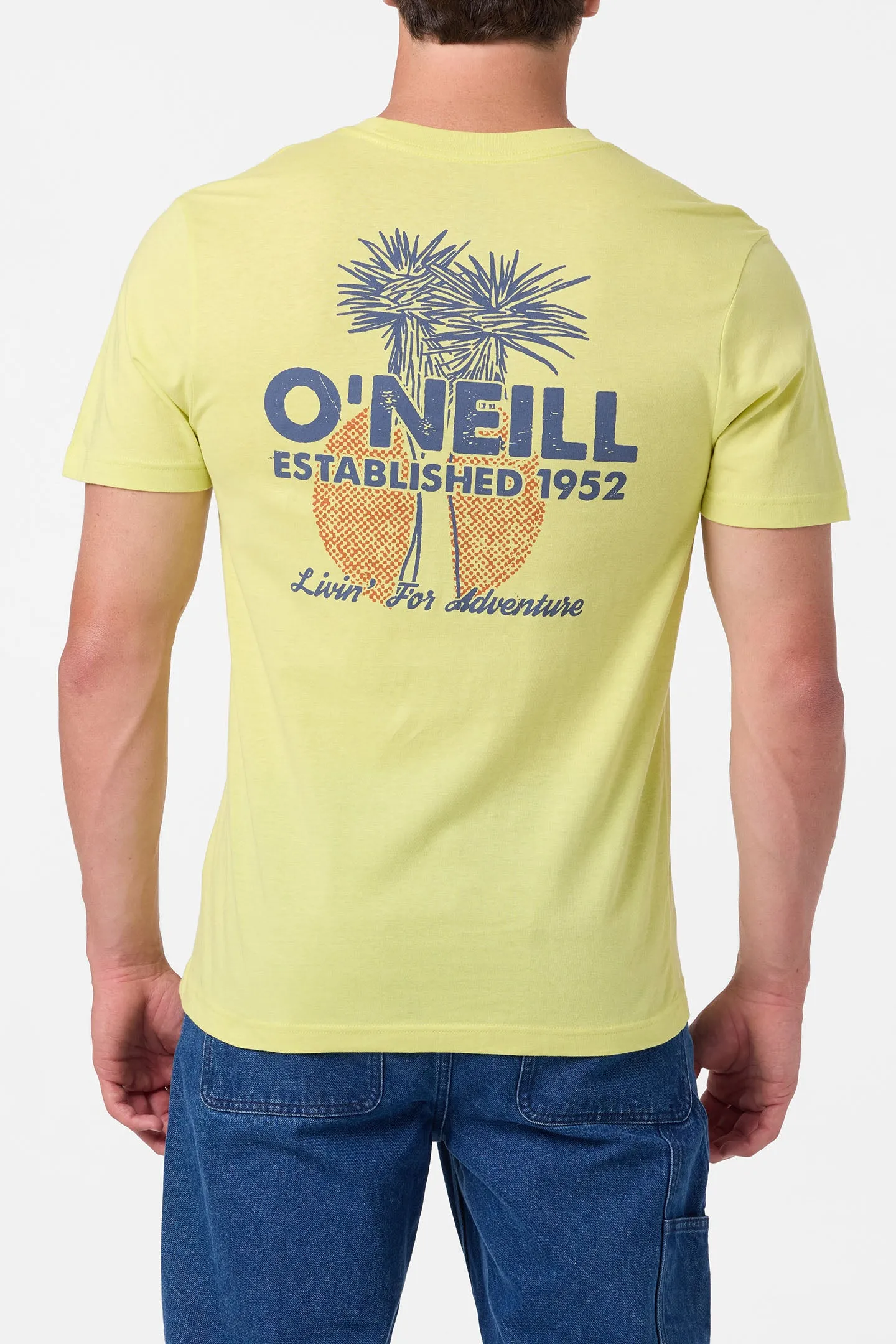 Landmark Classic Tee sold by O'Neill product image thumbnail 5