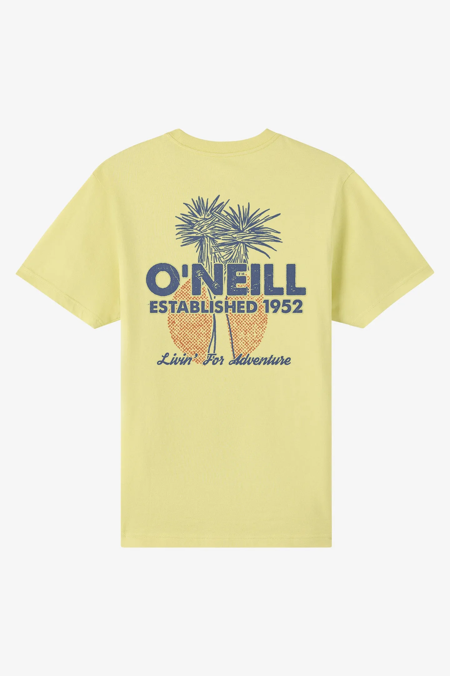 Landmark Classic Tee sold by O'Neill