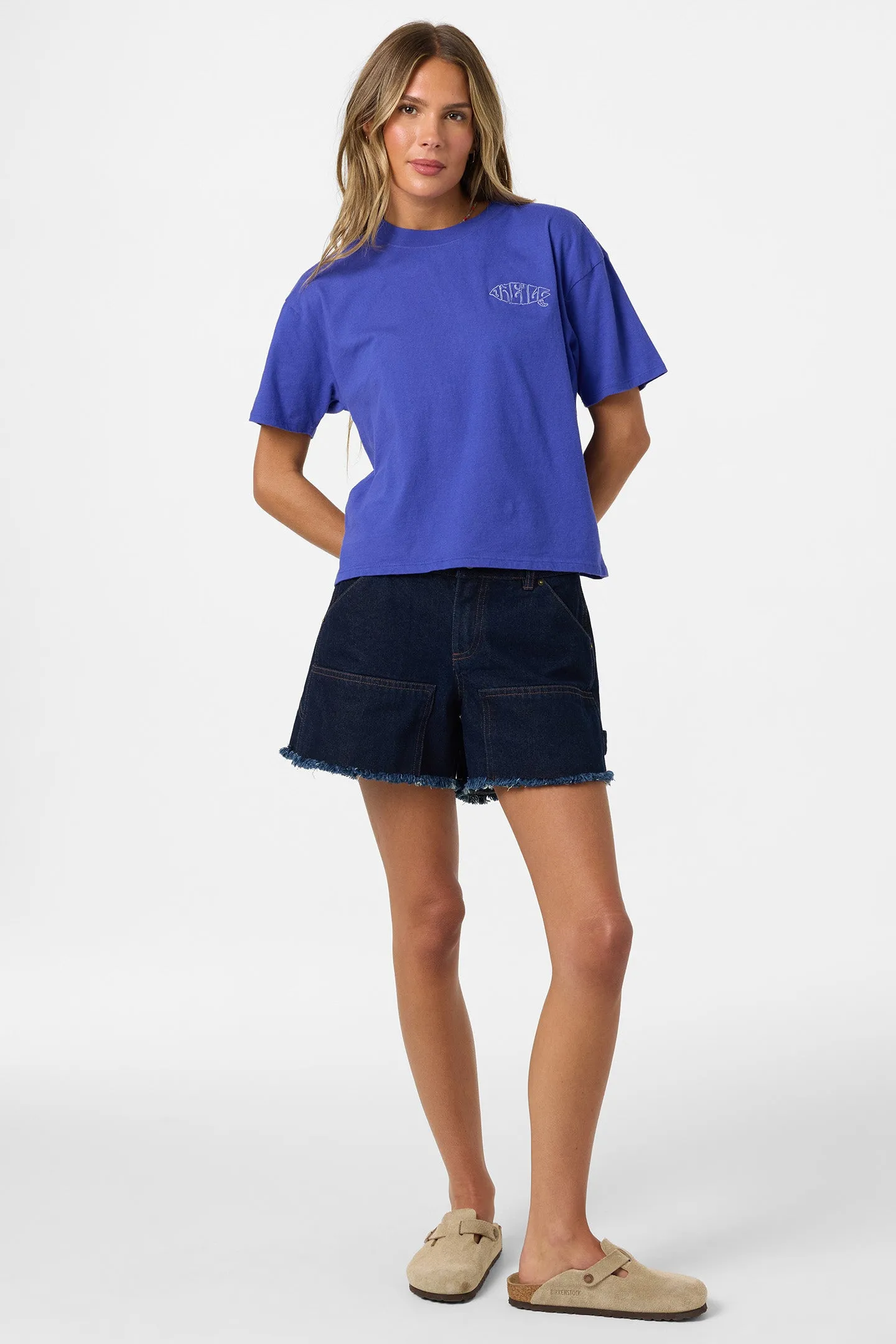 Board Embroidered Easy Tee sold by O'Neill product image thumbnail 3