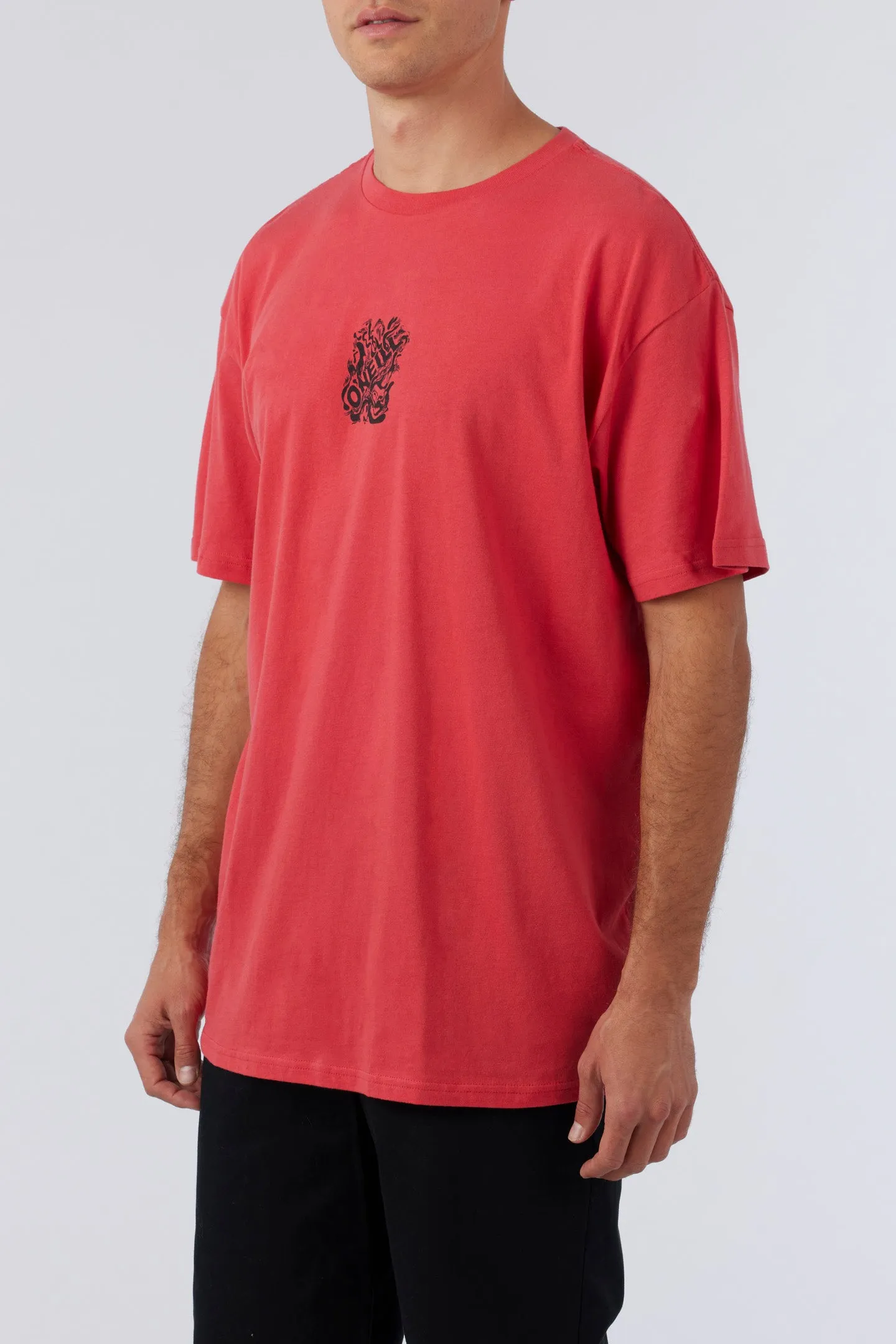 KOLOHE TAPPED TEE sold by O'Neill product image thumbnail 3
