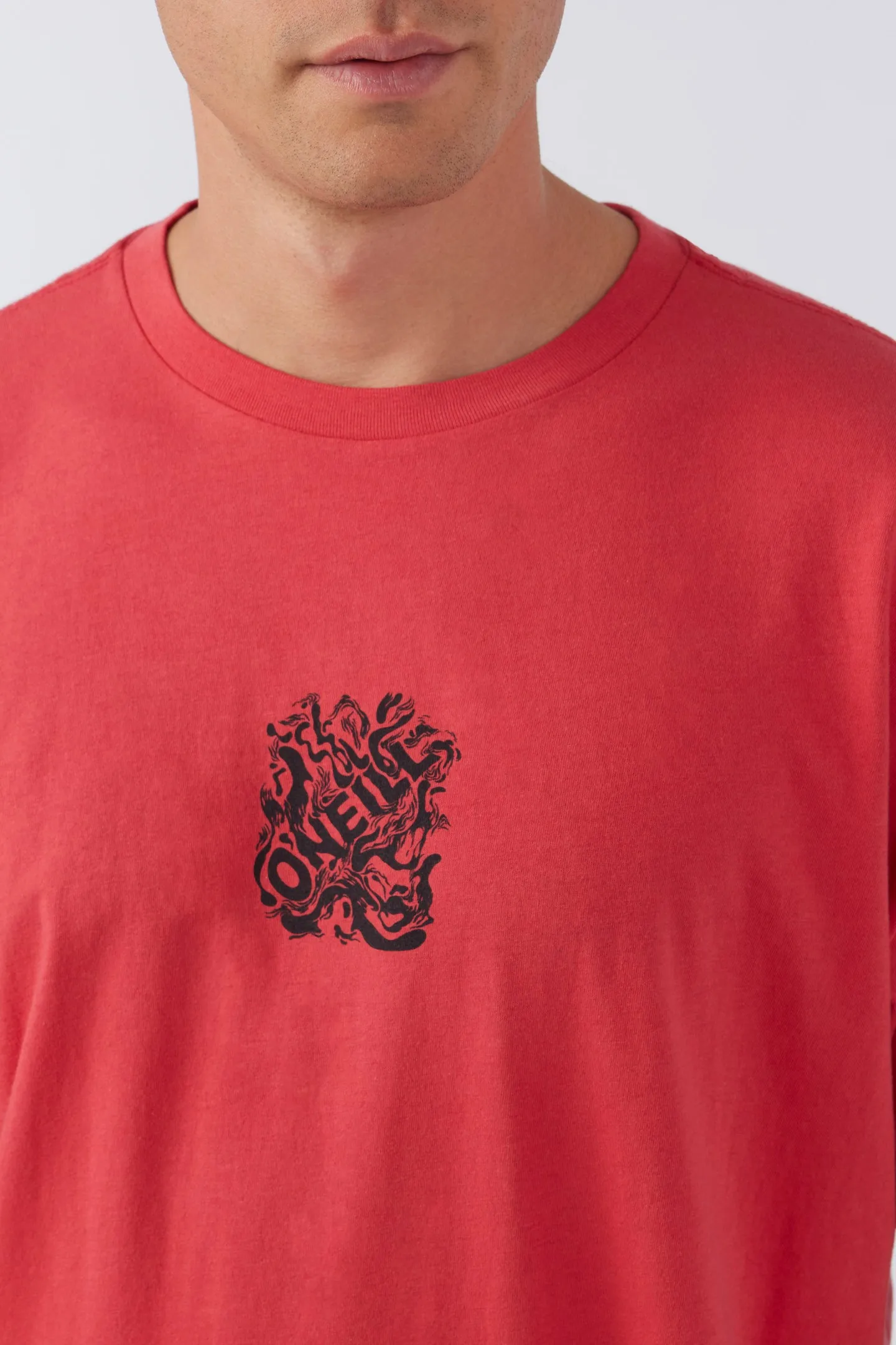 KOLOHE TAPPED TEE sold by O'Neill product image thumbnail 4