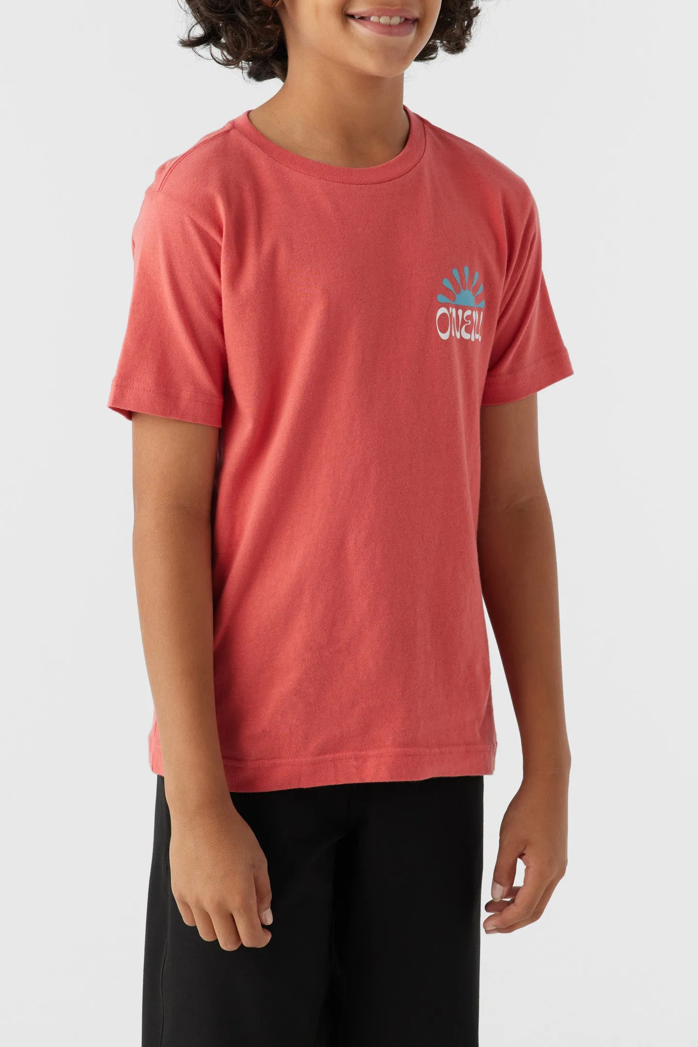 BOY'S HUCKLEBERRY TEE sold by O'Neill product image thumbnail 4