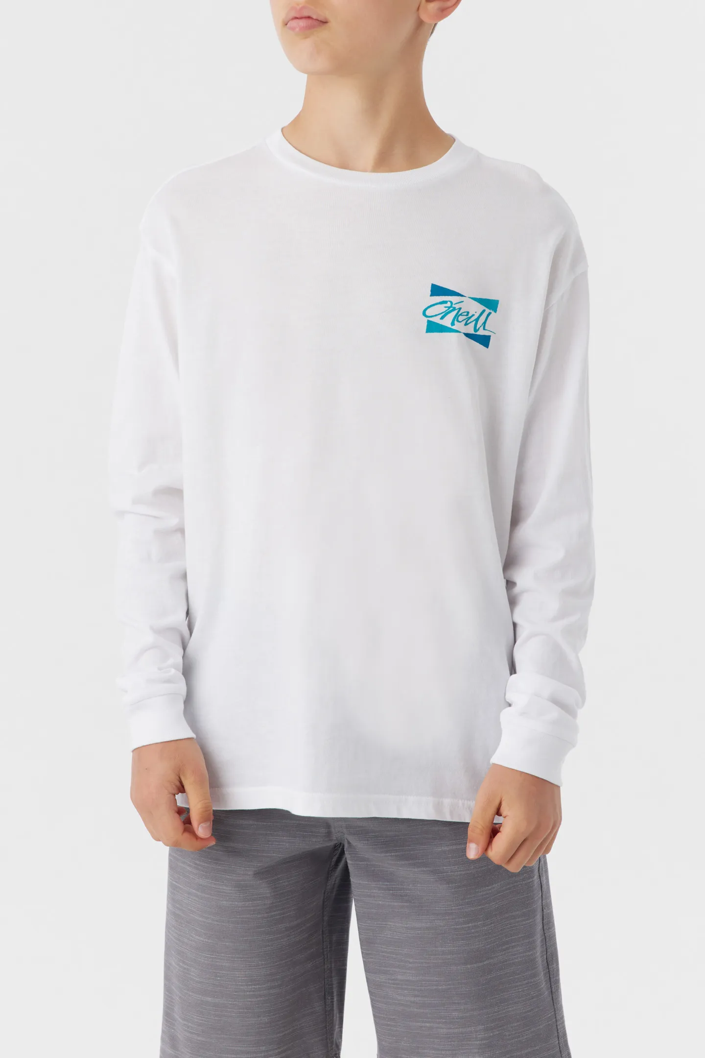 BOY'S BANNER LONG SLEEVE TEE sold by O'Neill product image thumbnail 2