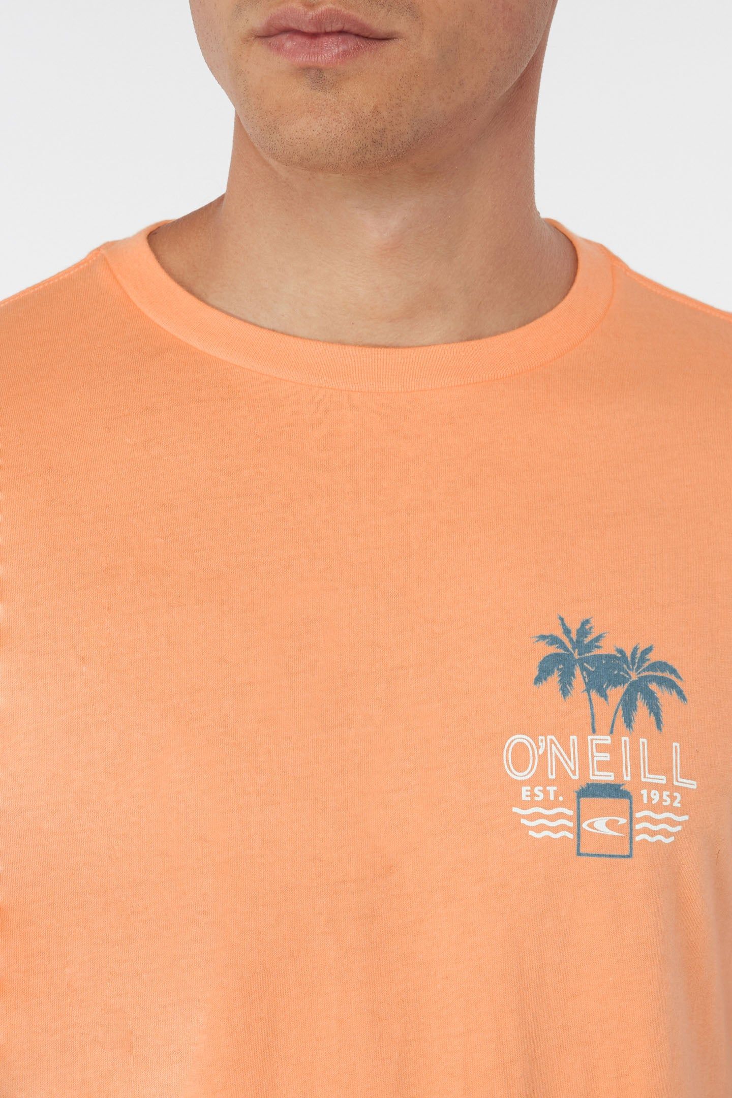 NEON NIGHTS TEE sold by O'Neill product image thumbnail 4
