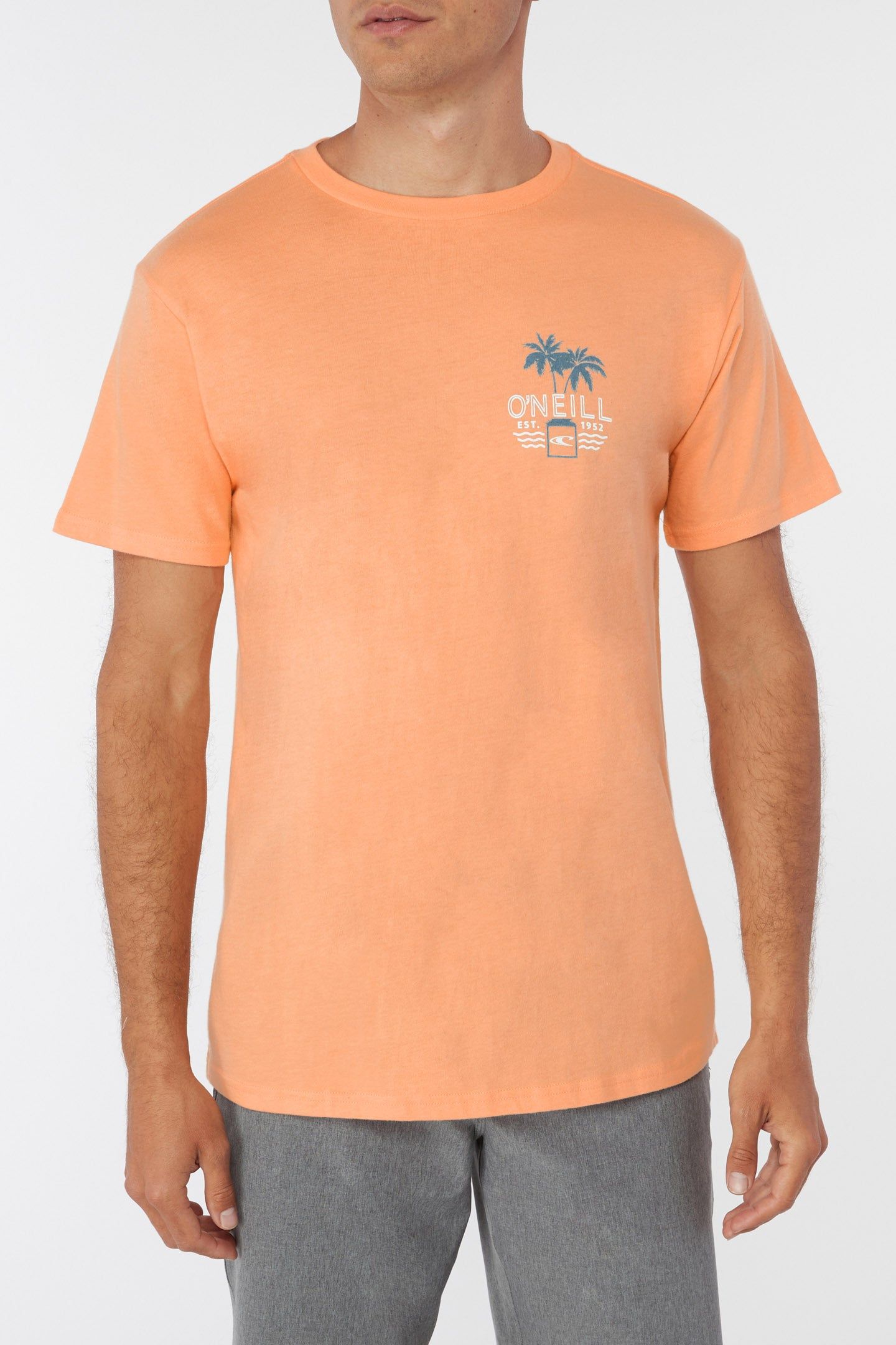 NEON NIGHTS TEE sold by O'Neill product image thumbnail 3