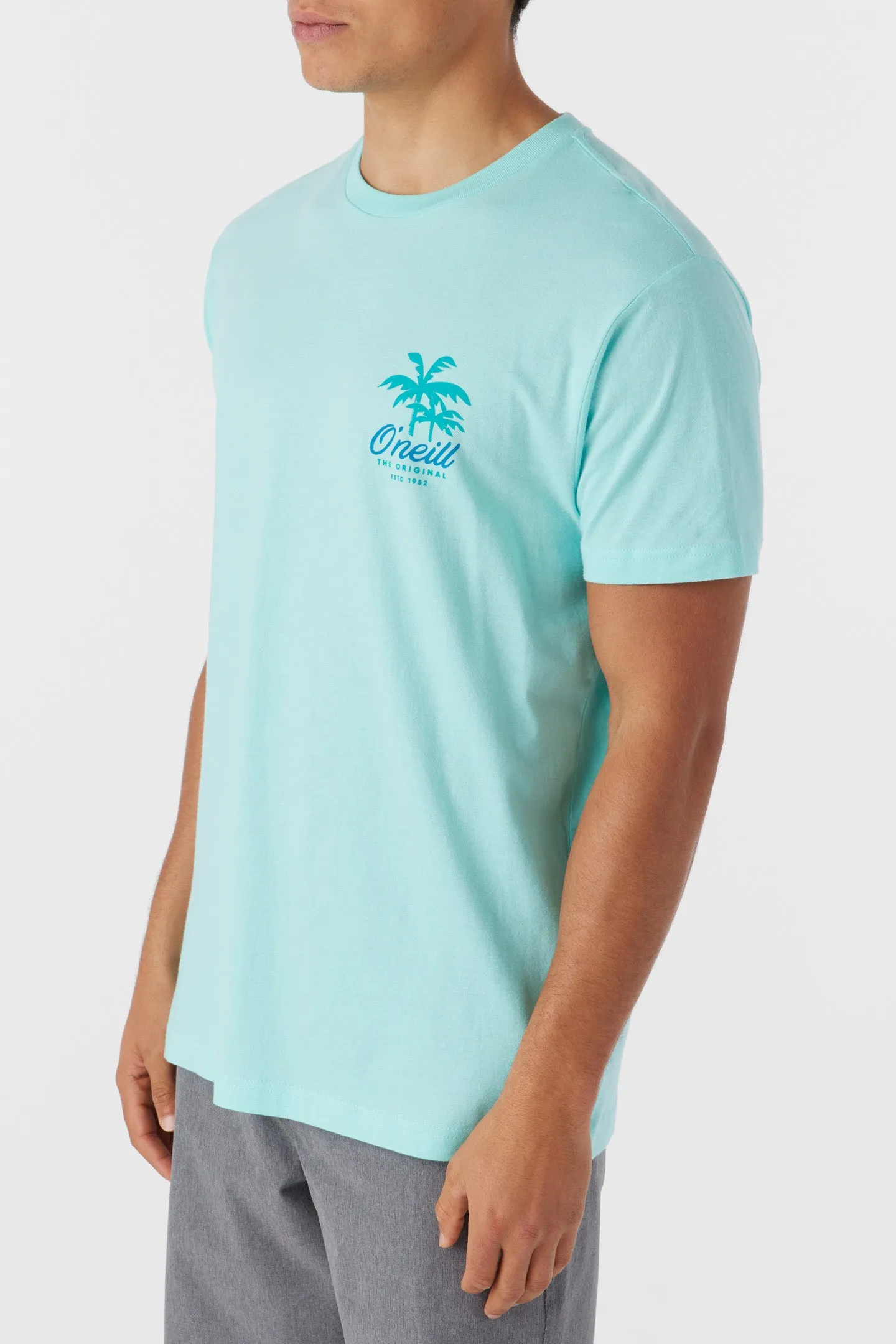 RESORT TEE sold by O'Neill product image thumbnail 3