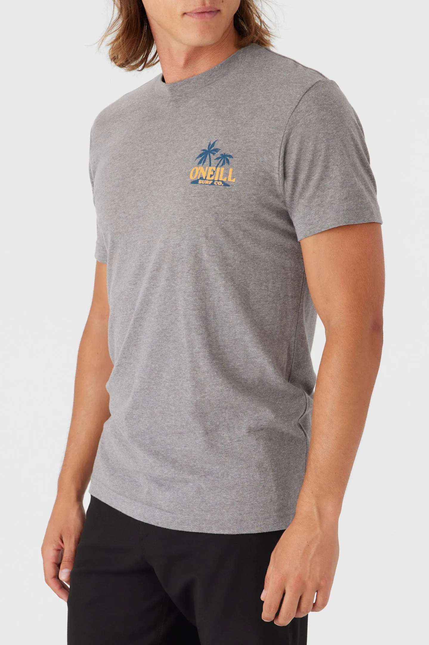 BIRD BRAIN TEE sold by O'Neill product image thumbnail 4