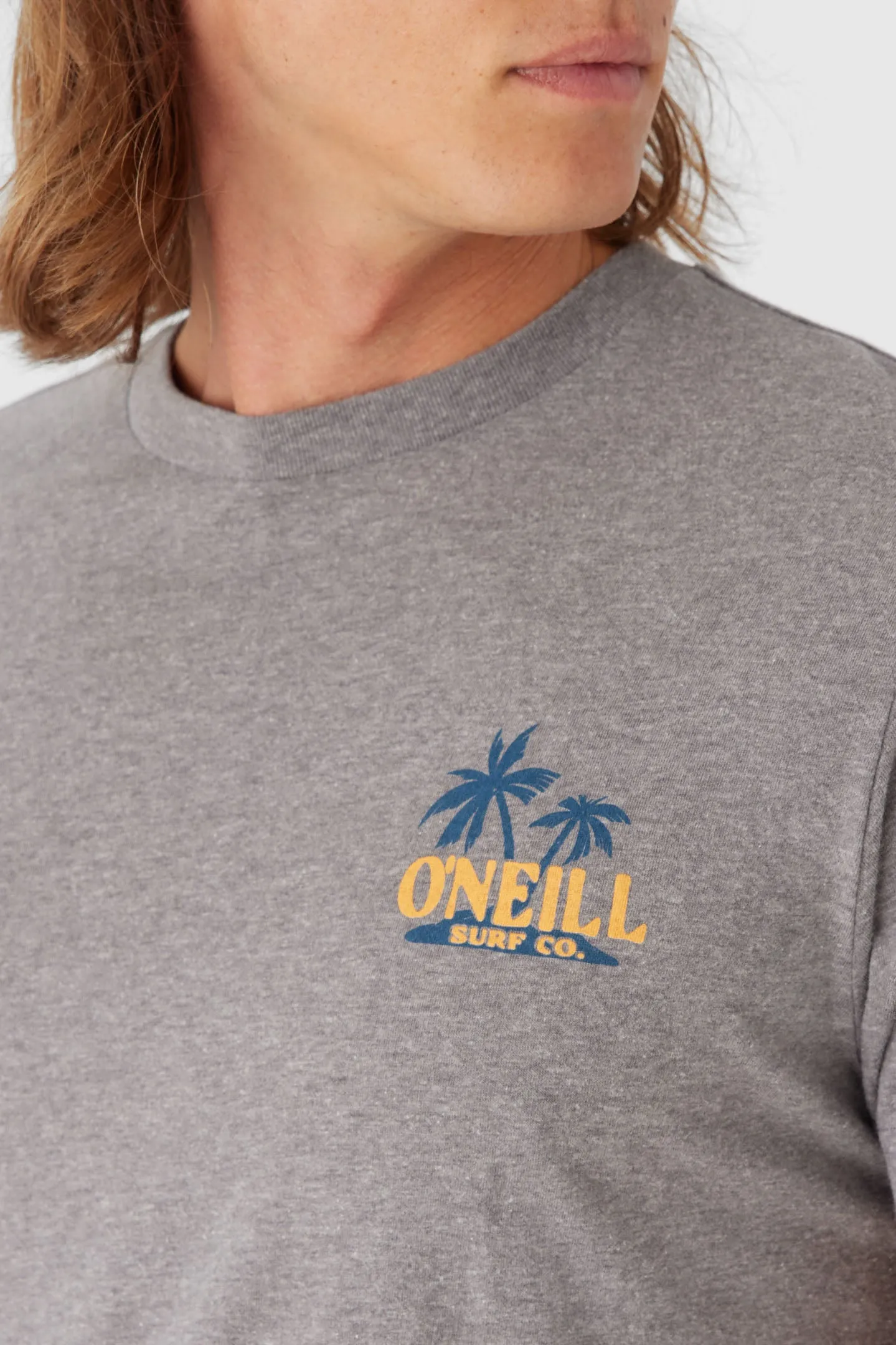 BIRD BRAIN TEE sold by O'Neill product image thumbnail 3