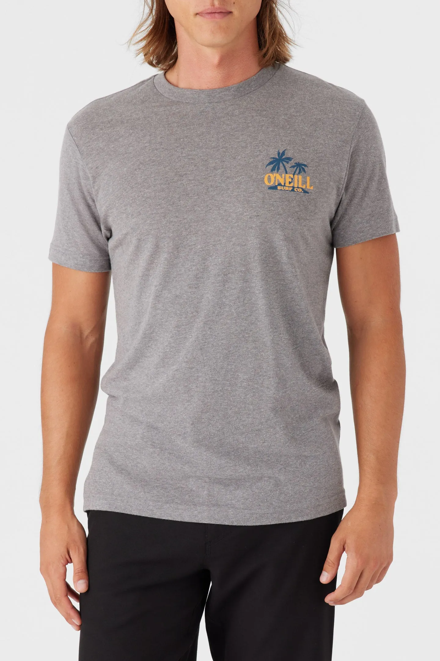 BIRD BRAIN TEE sold by O'Neill product image thumbnail 2