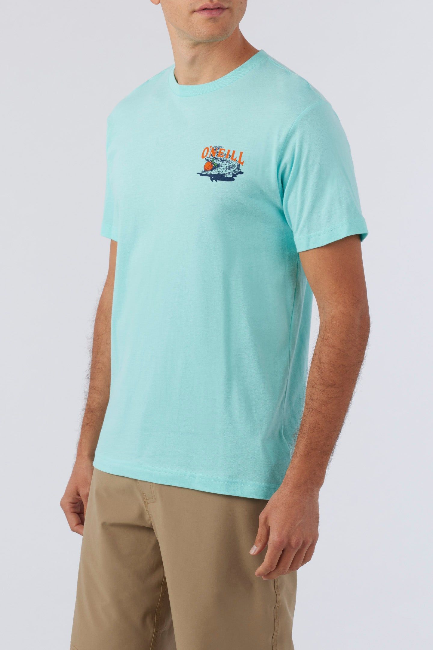 CITRUS STATE TEE sold by O'Neill product image thumbnail 3