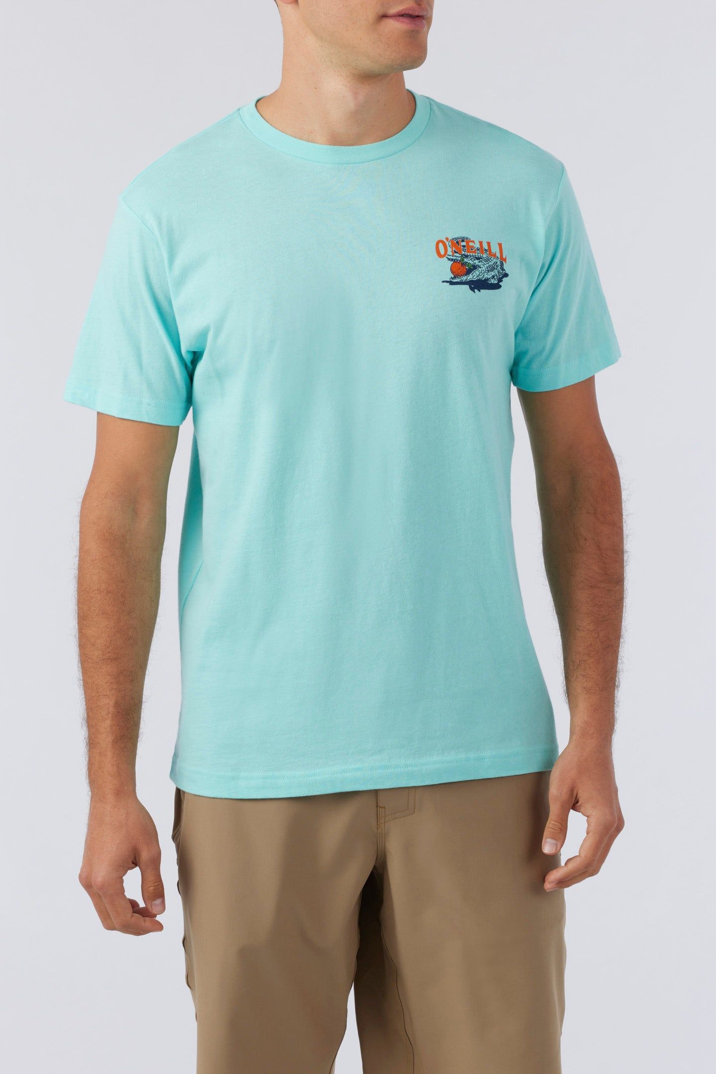 CITRUS STATE TEE sold by O'Neill product image thumbnail 2
