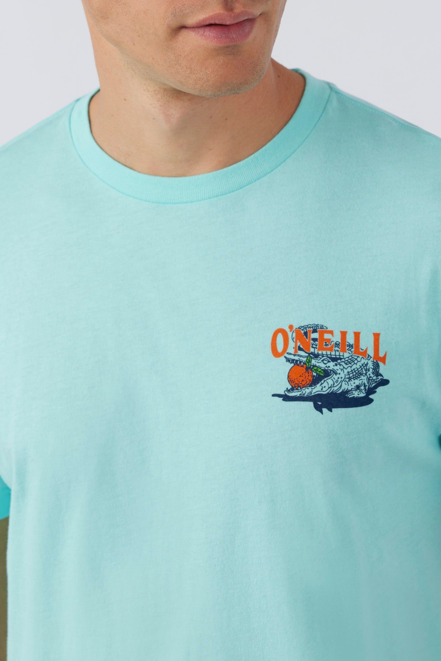 CITRUS STATE TEE sold by O'Neill product image thumbnail 4